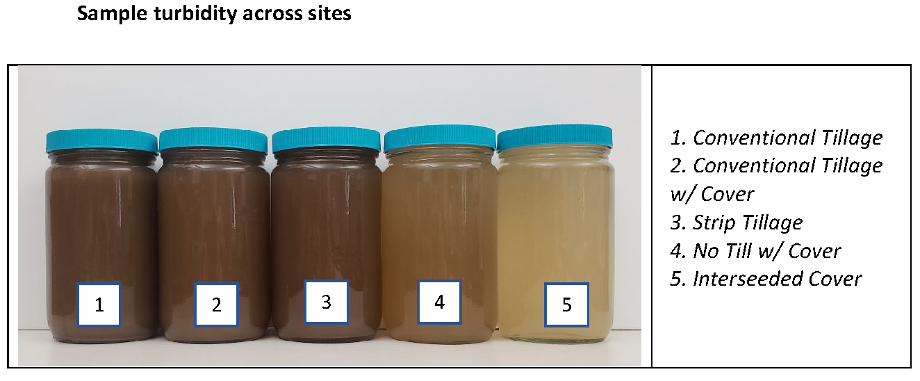 Sample turbidity across sites